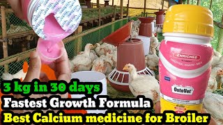 Fastest Growth 3kg in 30 days  Ostovet Calcium  growth medicine for poultry broiler poultry [upl. by Aihsekram]