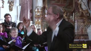 Maulbronner Kammerchor Ave Maria‪ MUSICA SACRA INTERNATIONAL 2016‬ [upl. by Turnheim60]