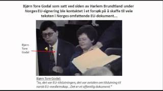 Bjørn Tore Godal om Norges tilslutningsavtale til EU [upl. by Ecnarretal831]