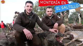 😁💥MONTERIA EN EL SALTILLO RINCON DE ABAJO 20232024 Cazando con MONTEROS DE SOPETRAN🦌🐕 [upl. by Holloway]