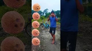 Mammi ki roti gol golnew shorts videoshorts ytshorts cartoon [upl. by Teleya]