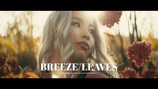 BREEZELEAVES GH5 4K  HELIOS44 Anamorphic [upl. by Llehcal]