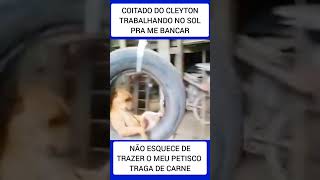 CARAMELO VIRALIZA BALANÇANDO NO PNEU 😂😂😂😂😂😂 [upl. by Notsirb]