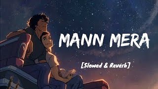 Mann Mera Slowed  Reverb Bollywood hindi lofi song  lofisongraka [upl. by Prager]