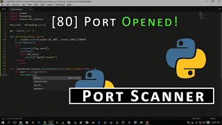 How to Make a Port Scanner in Python [upl. by Godewyn]