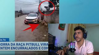 PITBULL ABANDONADA ATACA MORADORES NA RUA [upl. by Beck717]