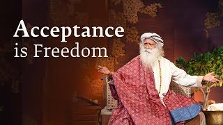 Why Acceptance Is Freedom  Sadhguru Spot 2nd Aug 2018 [upl. by Erhard]