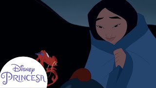 Lecciones Importantes que las Princesas nos Enseñaron  Disney Princesa [upl. by Eidassac771]