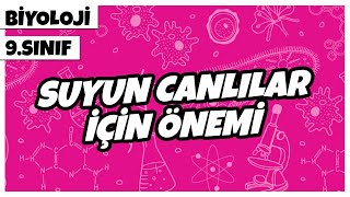 9 Sınıf Biyoloji  Suyun Canlılar İçin Önemi  2022 [upl. by Jackson]