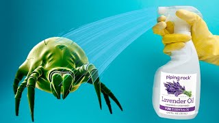 How To Get Rid of Dust Mites NATURALLY With Eucalyptus Oil [upl. by Gennaro]