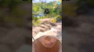 St Regis Resort South GoaMobor Beach Cavelossim shorts goa vacation [upl. by Eidnim205]