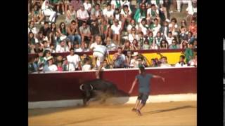 GOLPE LETAL EN LAS VAQUILLAS DE HUESCA 2014 [upl. by Anayeek705]