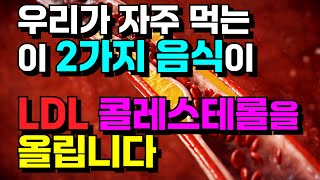 의외로 LDL 콜레스테롤을 높이는 음식 2가지 LDL 콜레스테롤 총정리 5 [upl. by Lyram617]