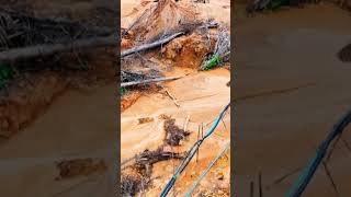 How Illegal Mining Destroys The Amazon Rainforest GoldRushParkerTrail Shorts [upl. by Tennaj]