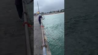 Fishing at brighton beach at morning time adelaide beach australia sunset ocean brighton [upl. by Ashlee850]