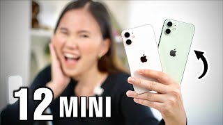 iPhone 12 mini review the favorite [upl. by Calesta362]