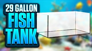 29 Gallon Fish Tank Pros and Cons  Is This The Perfect Starter Aquarium [upl. by Trevor12]