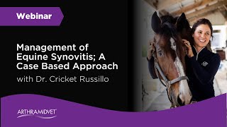 Webinar  Management of Equine Synovitis A Case Based Approach [upl. by Martynne]