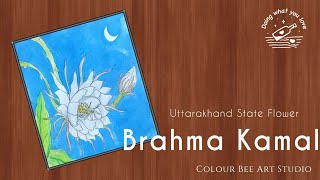 Brahma Kamal Flower Drawing  State Flower of Uttarakhand  Nisagandhi Flower  Saussurea obvallata [upl. by Romina]