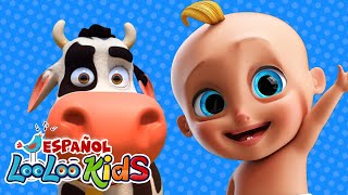 🐮La Vaca Lola 🐄  S1EP98 Las Mejores Canciones para Niños  LooLoo Kids Español [upl. by Trixi]