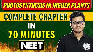 PHOTOSYNTHESIS IN HIGHER PLANTS in 70 minutes  Complete Chapter for NEET [upl. by Ahseiat485]