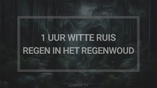 1 Uur Witte Ruis Regen in Het Regenwoud [upl. by Meingolda510]