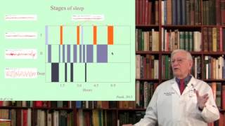 Pathophysiology of delirium [upl. by Arahsit]