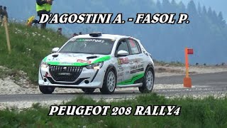 ALEX DAGOSTINI  PATRICH FASOL  PEUGEOT 208 RALLY4  RALLY SAN MARTINO 2024 [upl. by Amairam190]