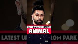 Latest Updates on Animal Park shorts animalpark ranveerkapoor vbw [upl. by Hoenack]