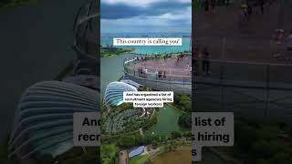 Move to Singapore on a Sponsored Visa  Nidhi Nagori ashortsaday singapore jobseekers [upl. by Lekcar]