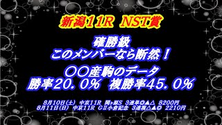 【NST賞2024】確勝級の本命馬！データからも信頼度は高い！狙って高配当が狙いる好レース！ [upl. by Allrud81]