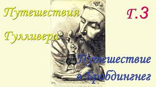 Дж Свифт Путешествия Гулливера Путешествие в Бробдингнег Г 3 [upl. by Akcirederf]