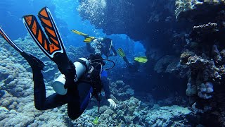 Marsa Alam Diving Egypt Zerib Kebir Red Sea 2022 HD [upl. by Bushey]