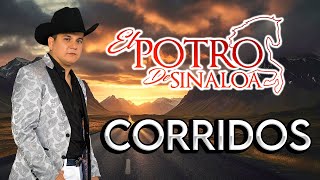 El Potro De Sinaloa  Puros Corridos Perrones Con Banda Album Completo [upl. by Janis589]