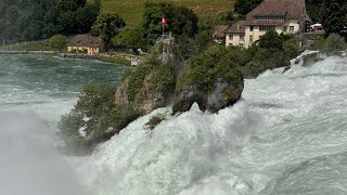 Rheinfall bei Hochwasser 06062024 😎👍🏻 [upl. by Greene262]