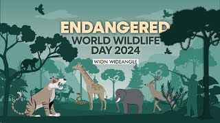 Endangered World wildlife day 2024  WION WIDEANGLE [upl. by Liponis]