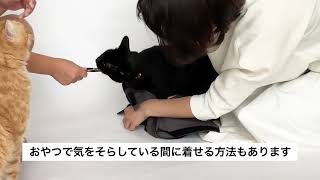 抱っこができない猫さんに「ねこずきのおくるみ」を着せるコツ [upl. by Nivonod]