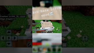 minecraft moment [upl. by Ssor]