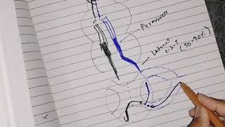 Corticospinal tracts  Desecending tracts Urdu Hindi 2020 neuroanatomy [upl. by Latsyk473]