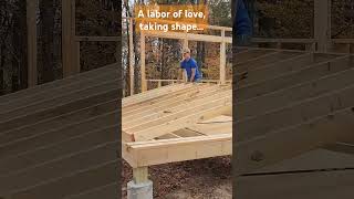 Framing walls family amp great weather  happiness building homesteading budgethouse [upl. by Eiramanit815]