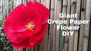 Pretty Giant Crepe Paper Flower DIY [upl. by Berey]