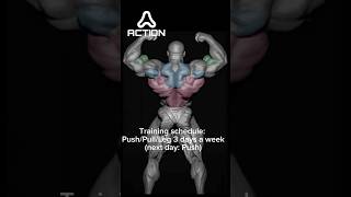 Training schedule PushPullLeg 3 days a week next day Push [upl. by Eenafets]