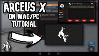 How to get Arceus X on MacPC FOR FREE  Roblox Tutorial [upl. by O'Shee]