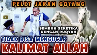 PELET JARAN GOYANG  TIDAK BISA MENGUCAP KALIMAT ALLAH SEMBUH SEKETIKA DENGAN RUQYAH [upl. by Atterbury]