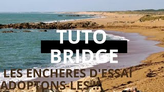 Lenchère dessailessayer cest ladopter  45 Tuto Bridge [upl. by Nosam501]