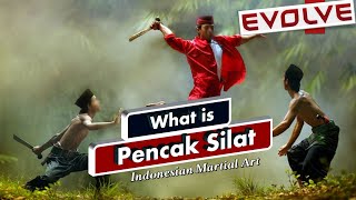 What is Pencak Silat  Penchak SIlat  Indonesian Martial Arts  EVOLVE [upl. by Shirley]