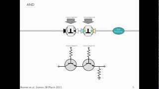 Transcriptors amp Boolean Integrase Logic BIL gates explained [upl. by Eceinhoj]