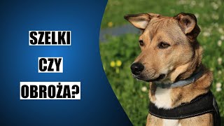 OBROŻA czy SZELKI co lepsze dla psa podcast [upl. by Leede617]