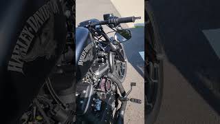 Custom Harley Davidson Sportster Iron 883 iron883 [upl. by Vierno]