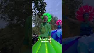 Soltauer Lichterfest 2023 💡 shorts short shortvideo youtubeshorts youtube shortsvideo video [upl. by Lancelot145]